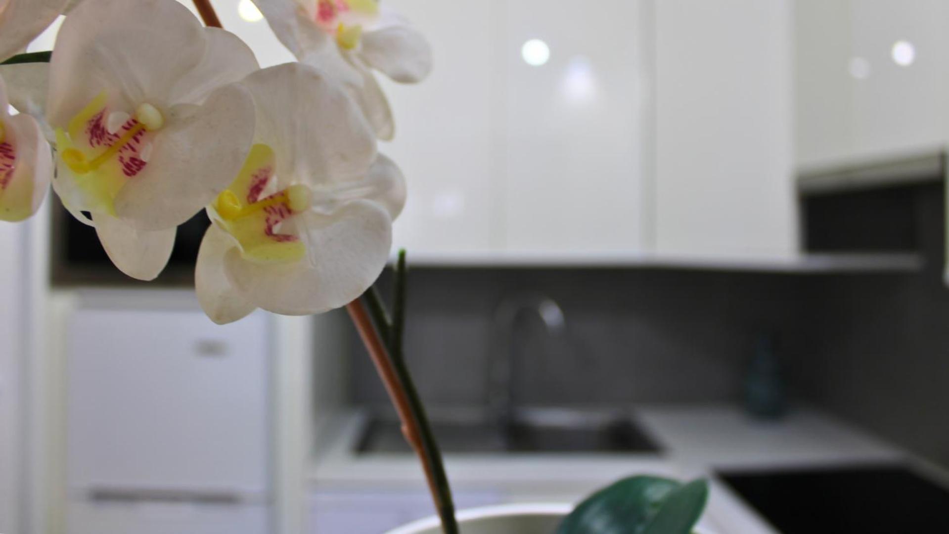 Markethome Mareverde Studio 아데제 외부 사진